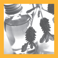 Blends and Balms Image